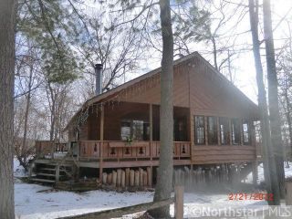 Foreclosed Home - 27866 ROBBIE RD, 54893