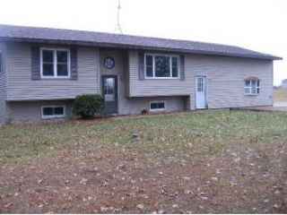 Foreclosed Home - N2007 17TH DR, 54982