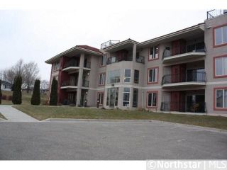 Foreclosed Home - 1401 N LAKESHORE DR UNIT 301, 55041