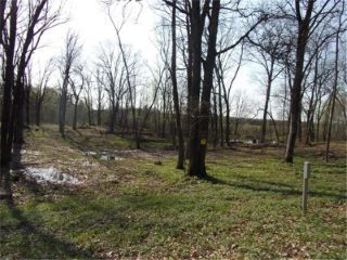 Foreclosed Home - 28443 NORTH LAKE DR LOT (Range 1 - 4), 55051
