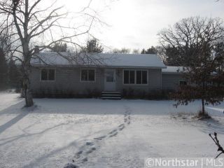 Foreclosed Home - 6461 382ND ST, 55056