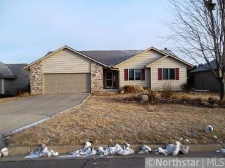 Foreclosed Home - 123 SUNNYVIEW DR, 55057