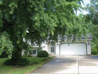Foreclosed Home - 1926 GREENWOOD DR, 55060