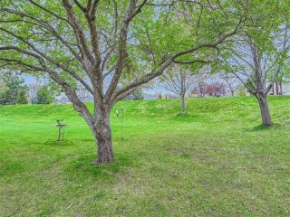 Foreclosed Home - List 100597109