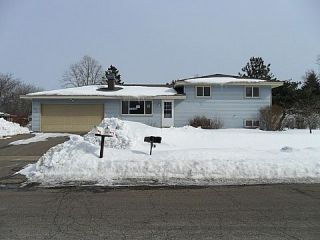 Foreclosed Home - 3770 RIDGE AVE, 55303