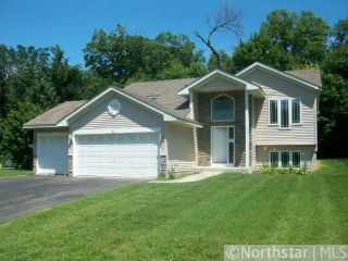 Foreclosed Home - 917 HAZELWOOD CT, 55313