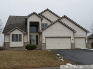 Foreclosed Home - 11356 ROSEMILL LN, 55316