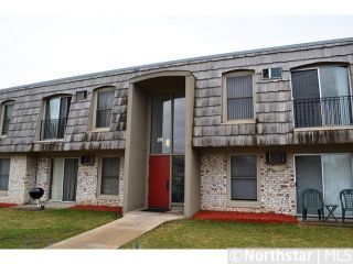 Foreclosed Home - 810 9TH AVE S APT 6, 55343