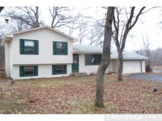Foreclosed Home - 26640 136TH ST NW, 55398