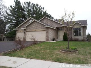 Foreclosed Home - 1244 131ST CT NE, 55434