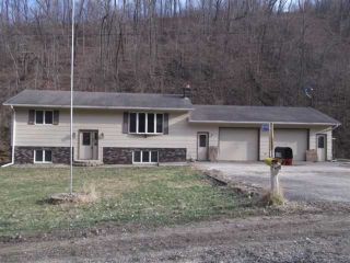 Foreclosed Home - 25298 E BURNS VALLEY RD, 55987