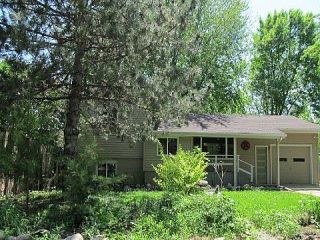 Foreclosed Home - 344 TERRACE DR SW, 56201