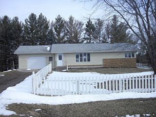 Foreclosed Home - 5892 130TH ST, 56353