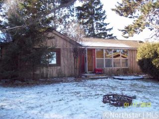 Foreclosed Home - 13365 TWILIGHT RD, 56359