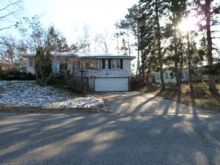 Foreclosed Home - 320 HAWKINS DR, 56401