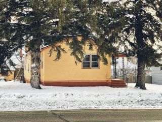 Foreclosed Home - 318 6TH ST SE, 56479