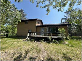 Foreclosed Home - 17041 STALKER LAKE RD, 56515