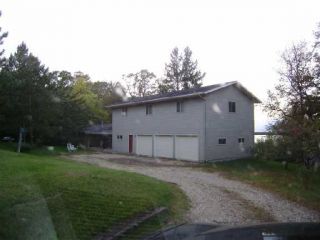 Foreclosed Home - 48817 PAINTED LEAF RD, 56551