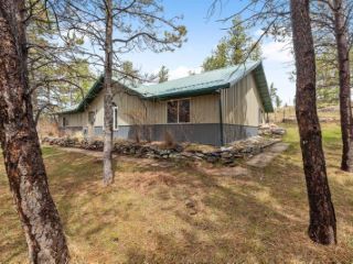 Foreclosed Home - 11461 PASS CREEK RD, 57730