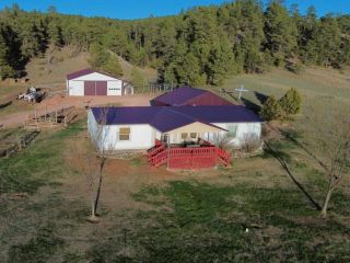 Foreclosed Home - 27432 WHITETAIL RD, 57747