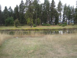 Foreclosed Home - List 100192826