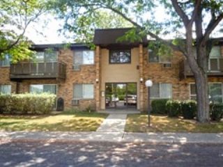 Foreclosed Home - 2640 N WINDSOR DR UNIT 204, 60004