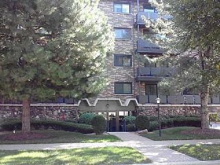 Foreclosed Home - 121 S VAIL AVE APT 403, 60005