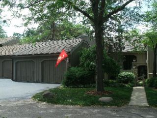 Foreclosed Home - 228 HICKORY LN APT A, 60010