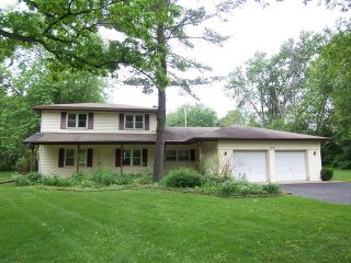 Foreclosed Home - 114 Hickory Rd, 60013