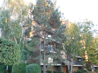Foreclosed Home - 555 GRACELAND AVE APT 604, 60016
