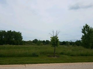 Foreclosed Home - 19998 W OLD MEADOW TRL, 60047