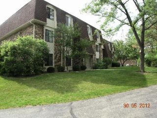 Foreclosed Home - 274 W CT OF SHOREWOOD APT 2B, 60061