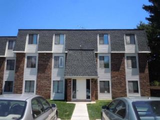 Foreclosed Home - 260 E COURT OF SHOREWOOD APT 4, 60061