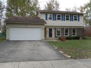 Foreclosed Home - 159 E TIMBERLANE DR, 60067