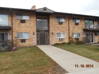 Foreclosed Home - 838 E OLD WILLOW RD APT 102, 60070