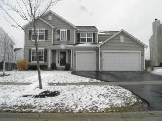 Foreclosed Home - 2596 W BIRCH DR, 60073