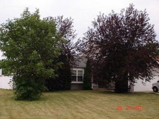 Foreclosed Home - 256 WINDRIDGE DR, 60073