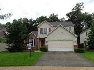 Foreclosed Home - 58 S WATERFORD DR, 60073