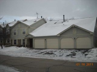 Foreclosed Home - 242 THORNAPPLE CT, 60089