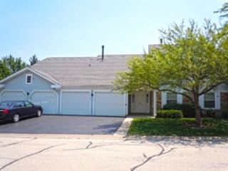 Foreclosed Home - 223 THORNAPPLE CT UNIT 223, 60089
