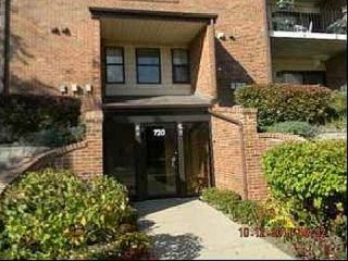 Foreclosed Home - 720 WEIDNER RD APT 204, 60089