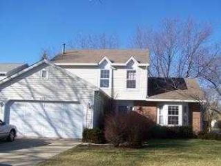 Foreclosed Home - 552 CROWN POINT CT, 60089