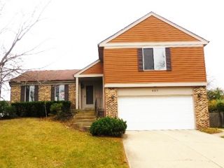 Foreclosed Home - 627 Buckthorn Ter, 60089