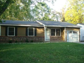 Foreclosed Home - 9010 EVERGREEN DR, 60097