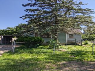 Foreclosed Home - 7417 BIRCH DR, 60097