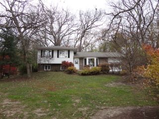 Foreclosed Home - 546 WILMETTE AVE, 60110