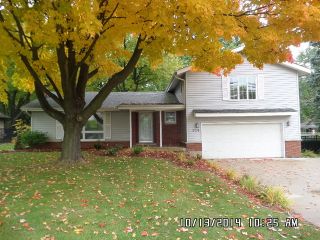 Foreclosed Home - 204 GREENWOOD ACRES DR, 60115