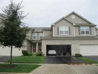 Foreclosed Home - 850 BEECH DR, 60120