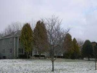 Foreclosed Home - 13n463 High Chapparel Ct, 60123