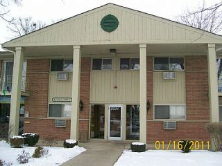 Foreclosed Home - 2230 BREEZEWOOD TER APT 11, 60133